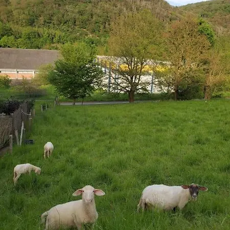 Rehberge *