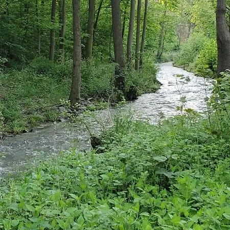 Apartment Rehberge