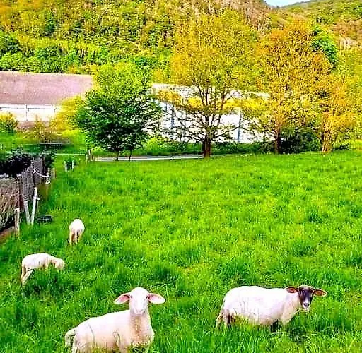 Rehberge Appartamento